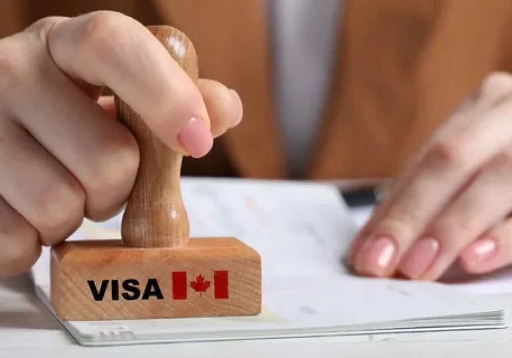 LMIA Consultant in Surrey, BC